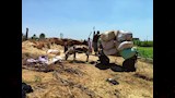 تحرك عاجل في الشرقية لاصطياد