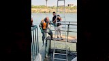 جودة المياه