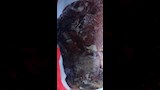 ضبط لحوم غير صالحة للاستهلاك الآدمي داخل مصنع بالعبور (3)