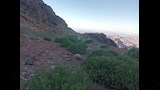 19 نوعاً لا تنمو إلا هنا.. السيول تُعيد إحياء "النباتات النادرة" في جبال سانت كاترين -صور 