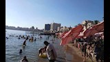 إقبال على شواطئ الإسكندرية (9)