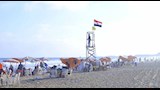 إقبال على شواطئ الإسكندرية (7)