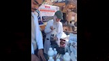 الكشف على الطيور