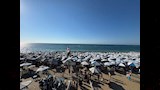 إقبال غير مسبوق على شواطئ الإسكندرية (3)