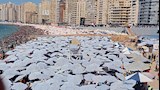 إقبال غير مسبوق على شواطئ الإسكندرية