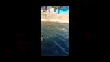 عريس في الأقصر يحتفل بحنته بالسباحة في الترعة (3)