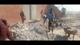 إزالة الأدوار الخطرة بالعقار المائل (13)