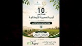 مدارس مصرية إيطالية تبدأ الدراسة 2026 (5)