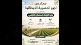 مدارس مصرية إيطالية تبدأ الدراسة 2026 (9)