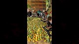 تعبئة المانجا