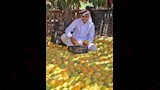 سكري ممتاز