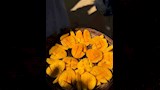 قطع مانجا 