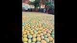 مانجو اسماعلاوي