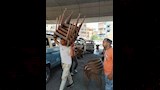 جولة ميدانية لمحافظ الجيزة لمراجعة تراخيص البناء وغلق المخالفات بالأحياء (10)