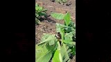 اتهم آخرين بمحاولة فرض إتاوة عليه