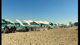 أجواء رائعة على شواطئ الإسكندرية (2)