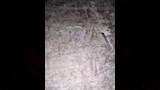 اكتشاف مقبرة أثرية جديدة بالأقصر تعود لعصر الرعامسة (3)