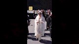 هيفاء وهبي قبل حفلها في الاردن (1)