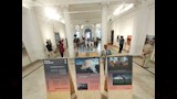 افتتاح معرض العودة للجذور بالإسكندرية لتوثيق تحديات المناخ  (7)