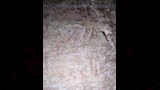 اكتشاف مقبرة أثرية من عصر الرعامسة بالأقصر (4)_4