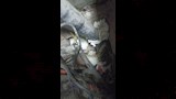 أغذية غير صالحة 