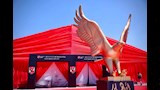فرع الأعلي الجديد في المنصورة