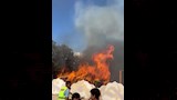 تصاد السنة النار