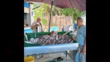 أسماك بسعر مخفض في الداخلة