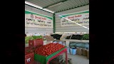 طرح خضروات باسعار مخفضة في مركز الداخلة