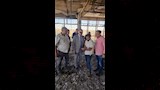 معاينة النيابة