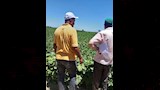 أثناء  متابعة اللجنة