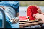 البطيخ في الصيف- خطأ عند تناوله يهددك بالتسمم الغذائي  