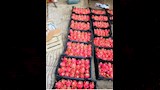  فاكهة تباع بالجرام والفص في الشرقية (6)