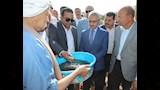 محافظ بني سويف يشهد إطلاق 250 ألف زريعة بلطي