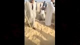 مشاجرة المقابر (18)