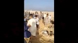 مشاجرة المقابر (13)