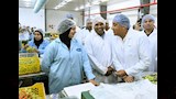 رئيس الوزراء يتابع رحلة المحاصيل من الحصاد حتى التصدير في مزارع بلكو (3)