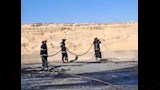حريق هائل يتسبب في تفحم حمولة تريلا على صحراوي المنيا  (1)