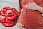 الأنيميا أثناء الحمل- حسام موافي يصحح معلومة خاطئة عنها