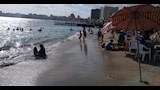 رايات حمراء بشواطئ غرب الإسكندرية (3)