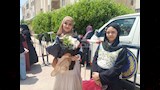 احتفالات في محيط اللجان  (3)
