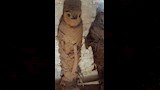 سراديب تونا الجبل بالمنيا (8)