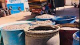 قبل تحويلها إلى "ملوحة".. ضبط طن و800 كيلو أسماك فاسدة في الفيوم (صور)