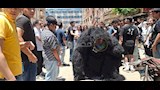 "ورد وغوريلا ومزمار".. مشاهد مبهجة بعد آخر امتحان للثانوية العامة بأسيوط (صور)