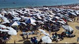 شواطئ الإسكندرية