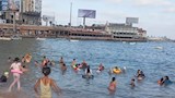 شواطئ الإسكندرية