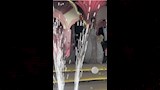 إبراهيم  حسن في حفل زفاف ابنته