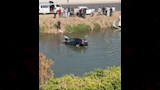 شاب بالغربية ينقذ أسرة من الغرق (6)
