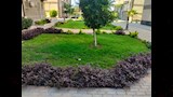  إزالة المخالفات بحدائق أكتوبر (1)