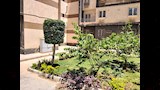  إزالة المخالفات بحدائق أكتوبر (3)
